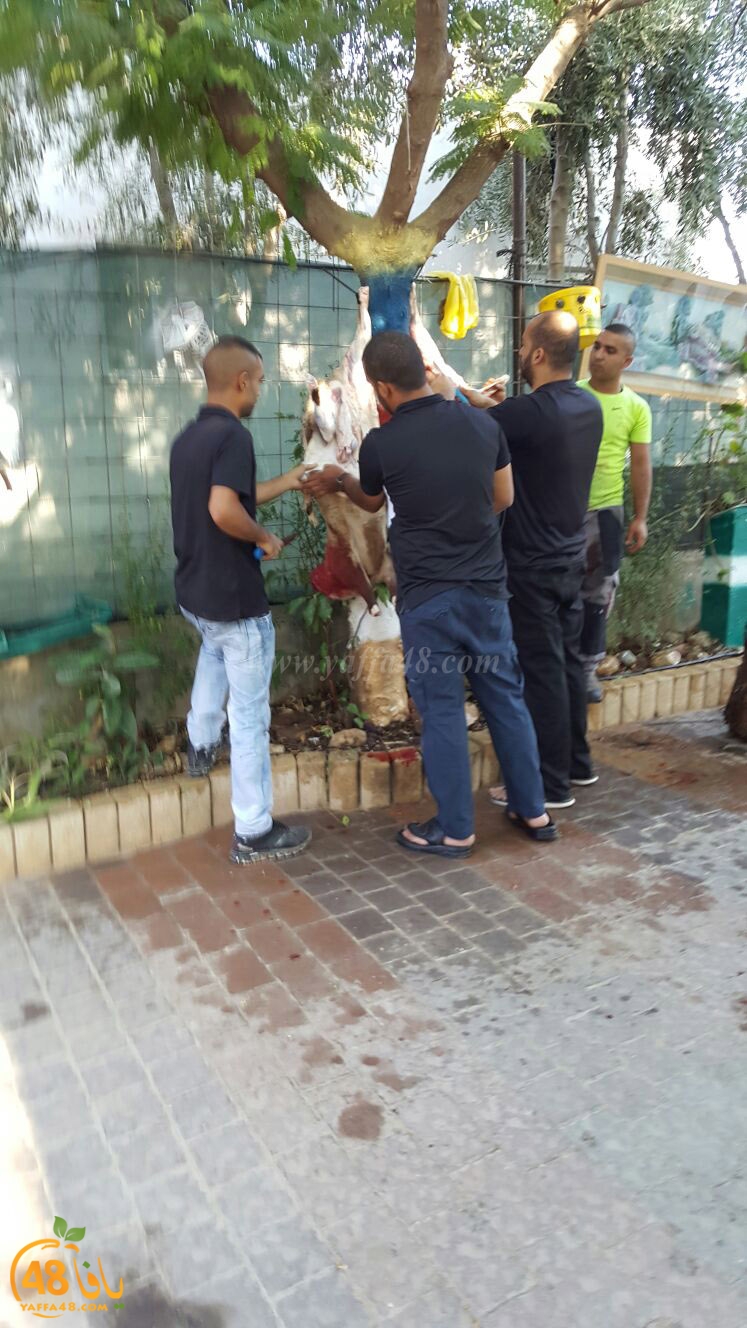 dab7 ada7y wu3ed (30).jpg